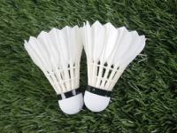 FB体育官方网站-中国羽毛球队横扫印度羽毛球队，安赛龙完成帽子戏法