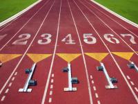 FB体育-爱德华兹单节风暴席卷北境，凯尔特人一波流击溃猛龙