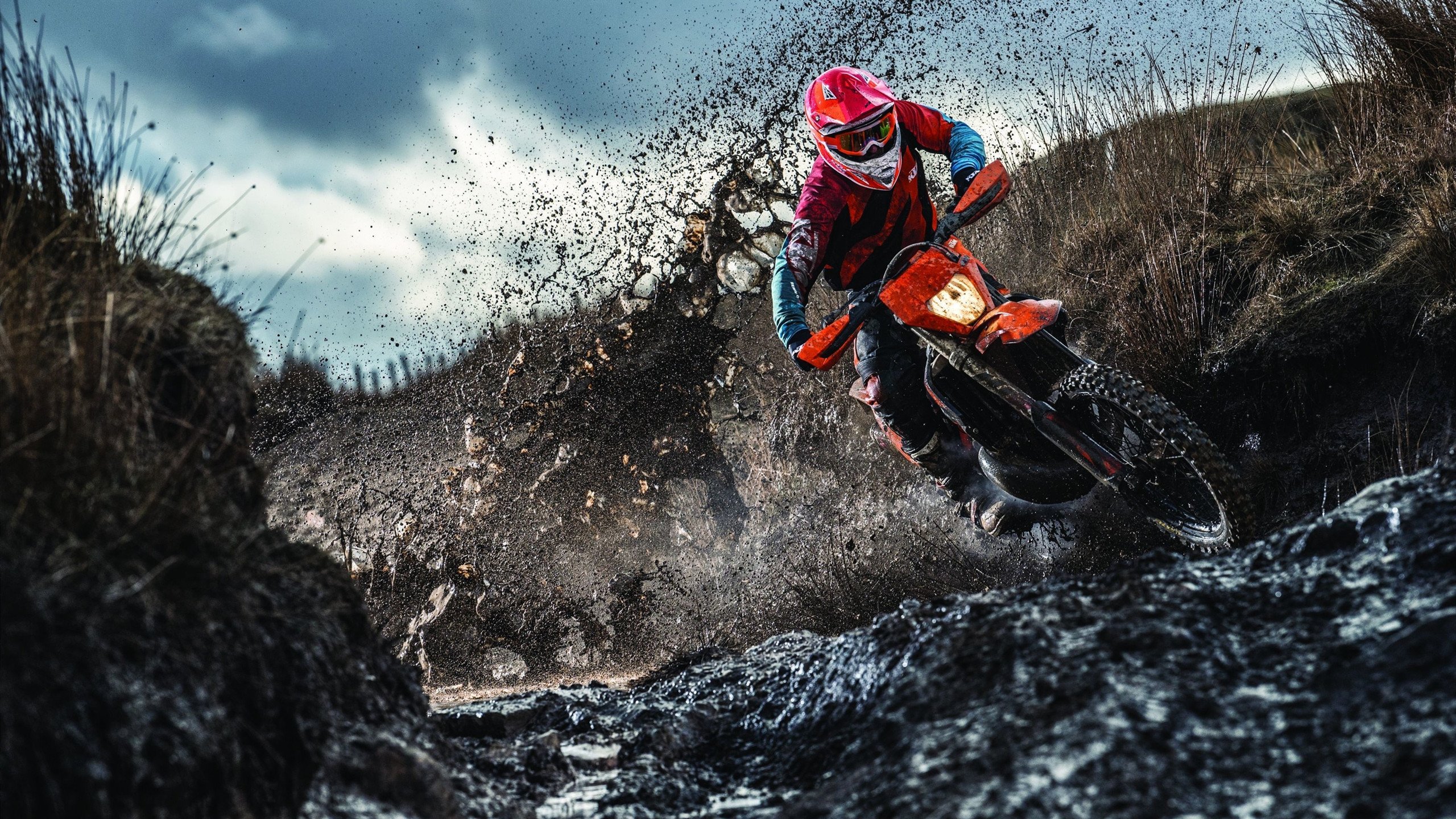 雄鹿狂胜黄蜂，拉文主宰比赛走向